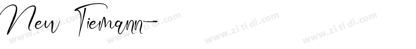New Tiemann字体转换